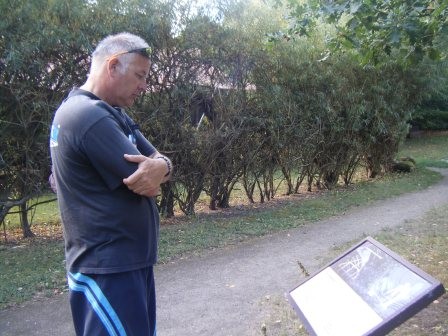 96